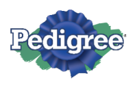 Prancheta 1 cópia 12